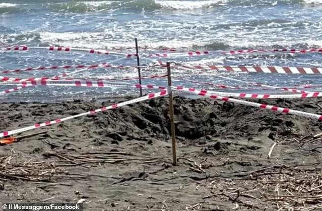 Riccardo Boni, 17, was on holiday with his family on Thursday when tragedy struck on the popular Montalto di Castro beach in north-west Italy