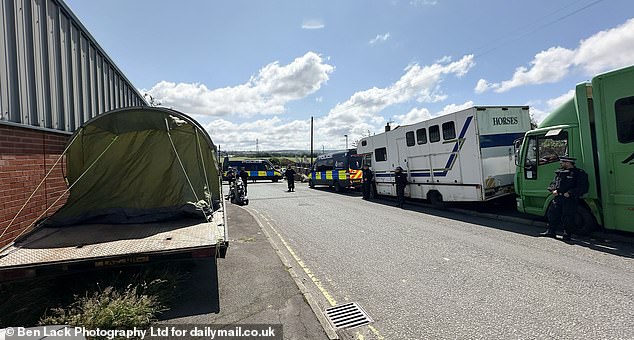 A local councillor, who asked not to be named, told MailOnline the closure was 'the culmination of a long running saga at the scrap yard'