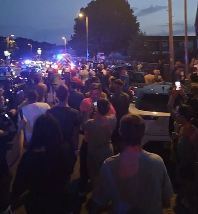As chants of 'paedo, paedo' were screamed by the mob, missiles were hurled at police