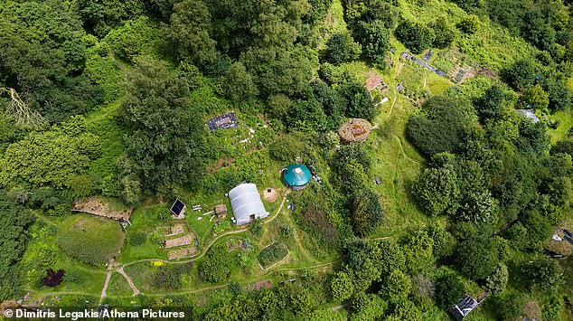 'I've had some prolific results, but the cannabis I grow is strictly for personal use,' one local said
