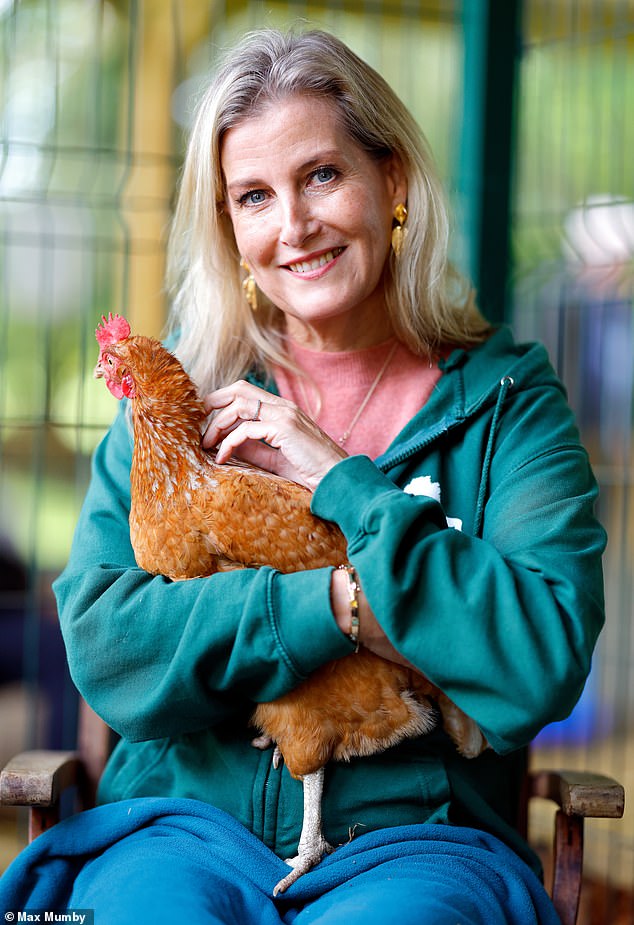 Sophie, Duchess of Edinburgh, cuddles 'Stumpy' a rescue chicken as she visits Mane Chance Sanctuary, in Compton, Surrey, on September 25, 2024