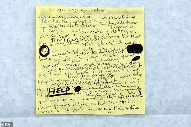 David Wilson, a professor of criminology at Birmingham City University, who specialises in serial killers, has dismissed Ms Letby's notes as ‘meaningless’, saying they have no value as evidence, particularly if they had been written as part of counselling
