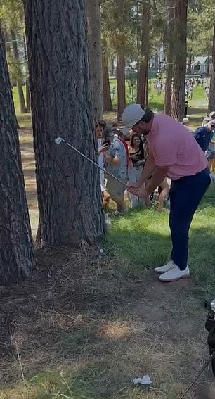 Travis's drive at the 16th landed up against the base of a tree
