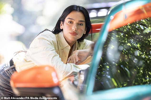 Emblazoned with her name and the German word Rennstall, which means racing team, the colourful car was designed by Ms Lipa, with all proceeds from the auction going to the Sunny Hill Foundation