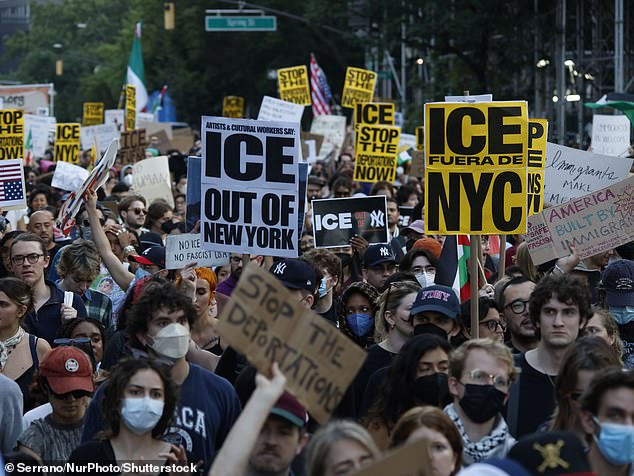 He claimed such protests are targeting ICE agents on nearly a daily basis