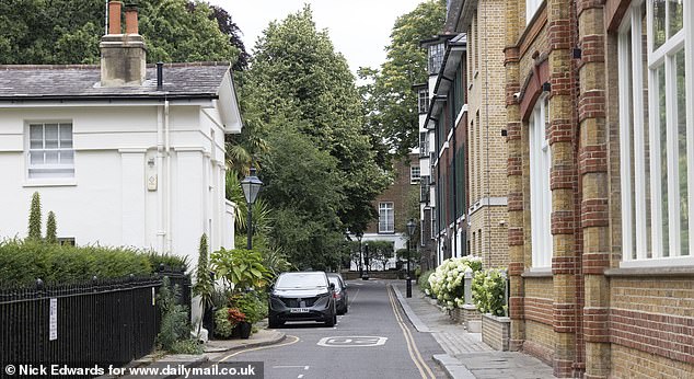 Residents in the leafy West London lanes say they are plagued by crime and antisocial behavior