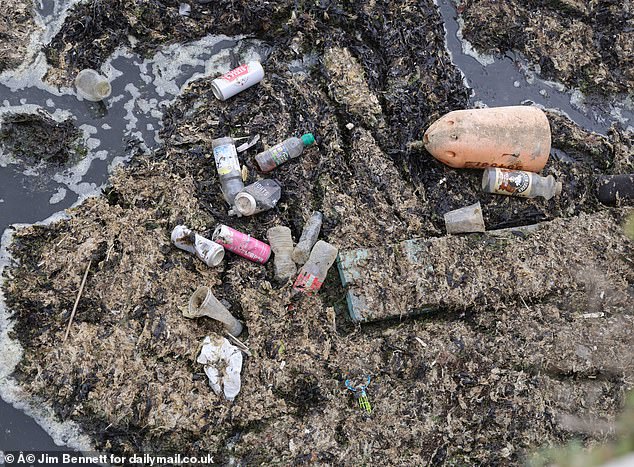 Rubbish floats on the surface of the water close to Margate's up and coming harbour arm