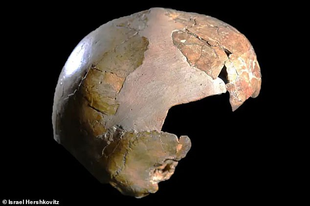 The so-called 'Skhul 1 Child' (pictured) had a pelvis, spine and brow that looked Neanderthal. However, other traits such as the shape of the skull and jaw were distinctly Homo sapiens