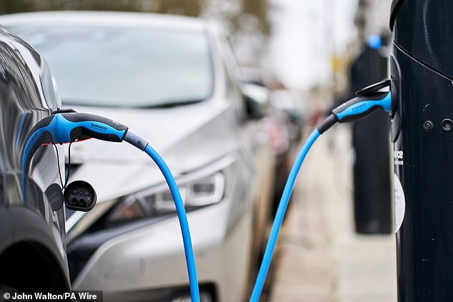 Appearing on the BBC 's Sunday with Laura Kuenssberg show, Ms Alexander said a £63million fund would create tens of thousands of new charging points (file picture)