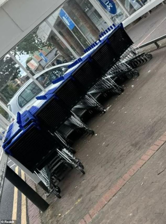 The chain superstore is currently trialling a new American-style plastic shopping trolley (pictured), with a plastic basket and metal chassis, at its Sheffield Infirmary Superstore