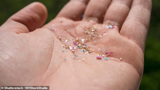 Invisible to the human eye, microplastics are tiny plastic fragments as small as two micrometres, or two-thousandths of a millimetre