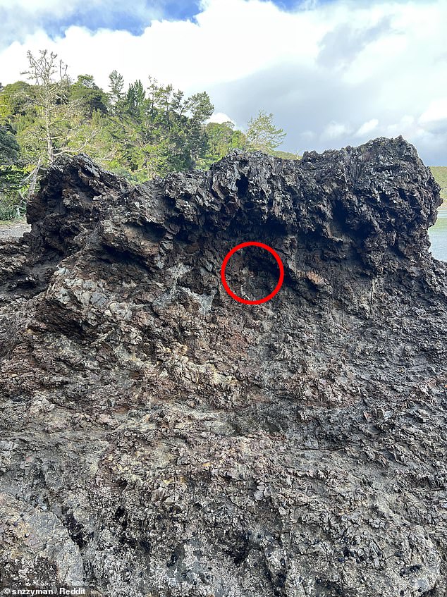 Her face can be seen three quarters of the way of, just right of center, peering out of a small hole in the structure