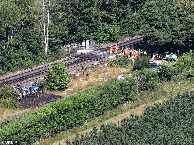 Steve White, the Managing Director of Southeastern Railway, said: 'We are deeply saddened to confirm that the driver of the road vehicle involved in the collision with a train earlier today has tragically died'