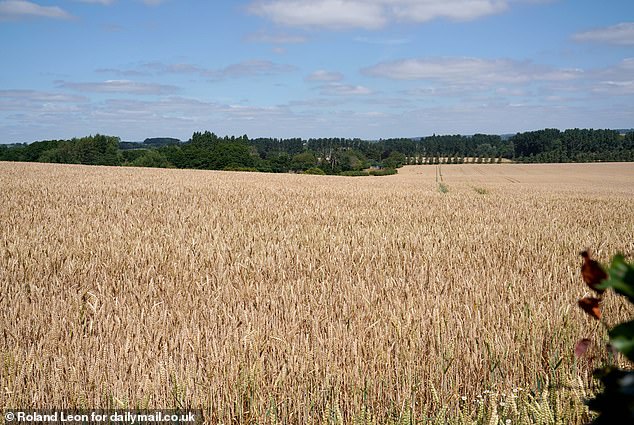 The key developers are Blore Homes, Taylor Wimpey, Muller Property Group and Bellway Homes, and if plans go ahead it could see the town grow four times in size