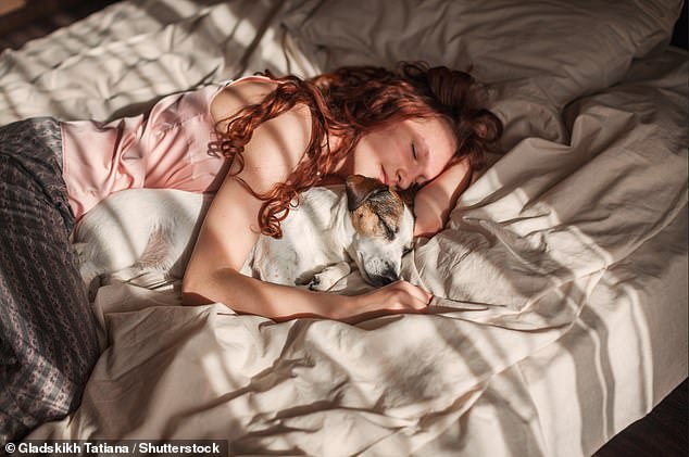 If you sleep with a pet, you should launder your bed sheets and pillowcases even more often than once a week, according to the expert (file photo)