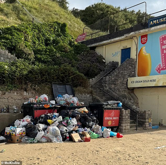 An enormous stack of overflowing bins provides a more accurate metaphor for Bournemouth Beach than the promising signs above it