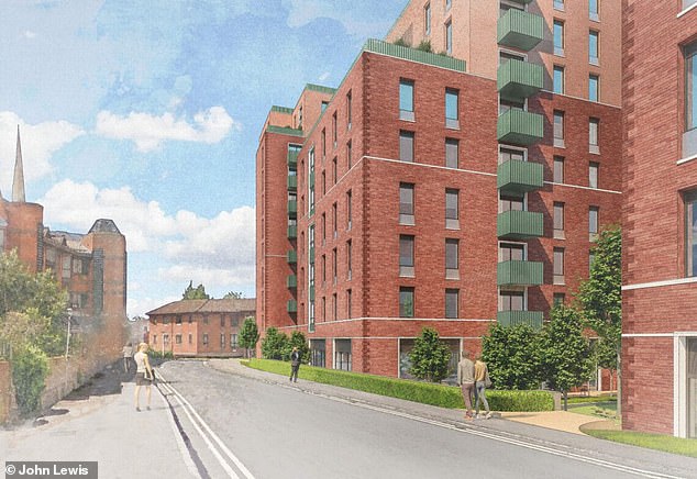 Pictured: a plan of the contested development set to be built in the commuter town of Reading