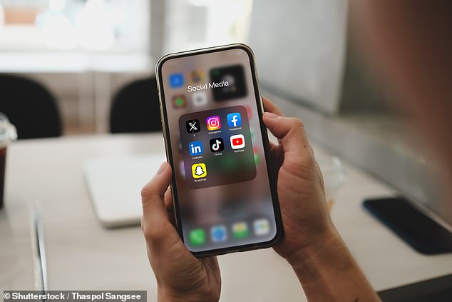Researchers for the non-profit organisation found 35 per cent of children using AI chatbots, such as ChatGPT or My AI (an offshoot of Snapchat ), said it felt like talking to a friend (file image)