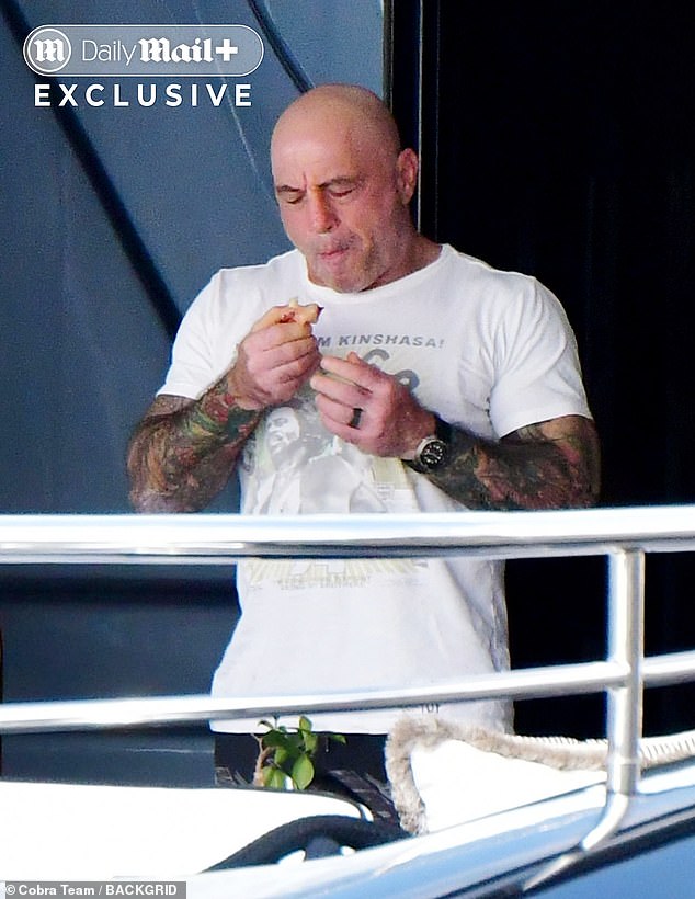 Munching on a snack, Rogan, 57, surveyed the historic scenery from the rear of the bridge deck