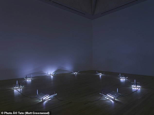 Hamad Butt, a lesser-known artist, studied alongside Hirst and created one of the 'earliest works of bio-art in the UK'. Pictured: One of his works