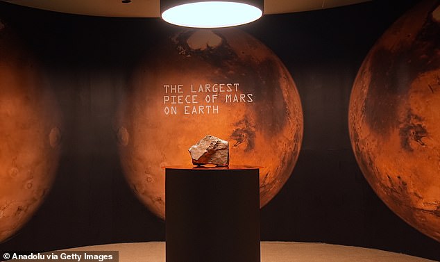 The rock is believed to have been ejected from Mars after a huge asteroid collision sent it hurtling through space on the 140-million mile journey to Earth