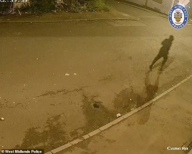 A brick was also thrown at the windscreen of a parked car near the property