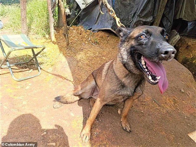 He suffered a leg injury and had to have it amputated after the blast