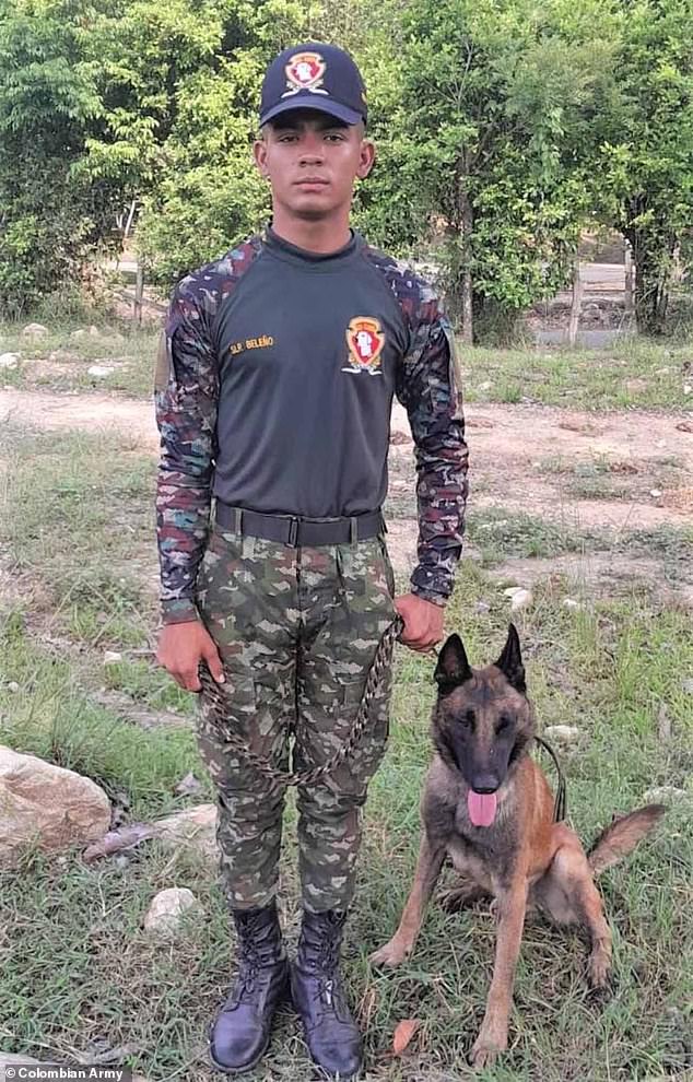 The military says although the canine now has to retire from duty, his 'legacy will live on in every soldier he bravely protected'