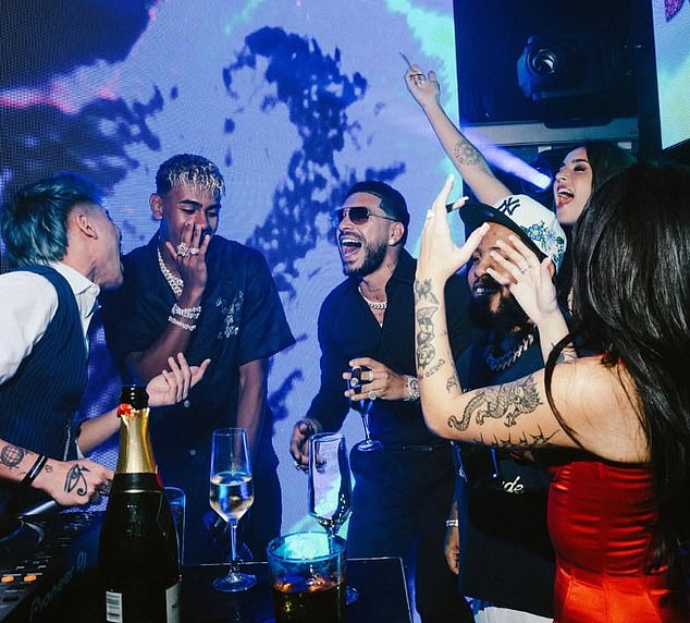 The lavish and controversial bash could now be the subject of a government probe