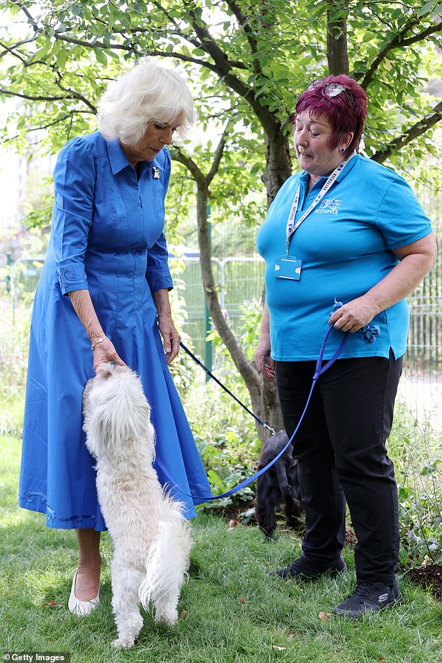 As she toured the premises of the South West London-based site, Camilla, who lost her beloved Jack Russell rescue Beth last November, made a fuss of the pooches living at the shelter