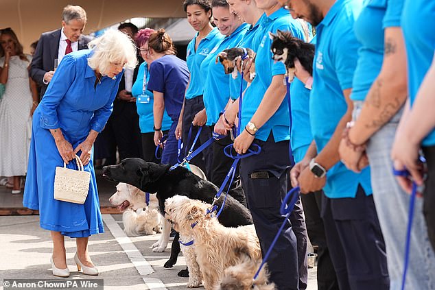 She also greeted other lovable pups, who were patiently lining up and waiting for their chance to meet the Queen alongside beaming Battersea shelter staff