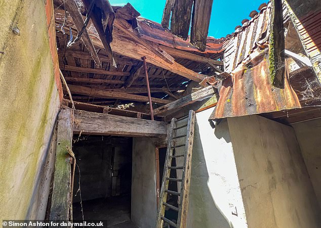 But the same cannot be said of the oak beams, rotting because of the completely absent roof