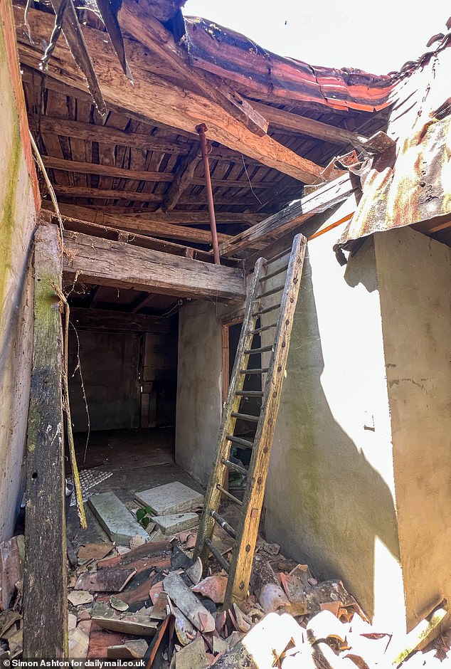 The house which Sally and Tim bought for a few thousand Euros in 2007, has long been uninhabited, but would certainly have given them enough land to pitch a tent when they lost their home to the bailiffs in 2013