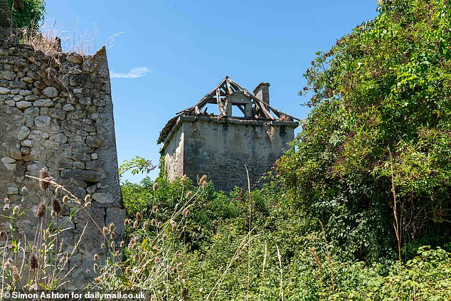 ‘Both the pigeon tower and the house next door are potentially beautiful buildings and have stood for centuries, and it would have been lovely to see them restored to their former glory,’ Mme Duparant said
