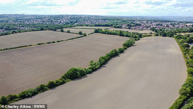 Sheffield City Council hopes to build 3,539 homes, two schools, a graveyard and 130 acres of business space on green belt land running between Richworth Road and Beaver Drive in Handsworth (pictured)