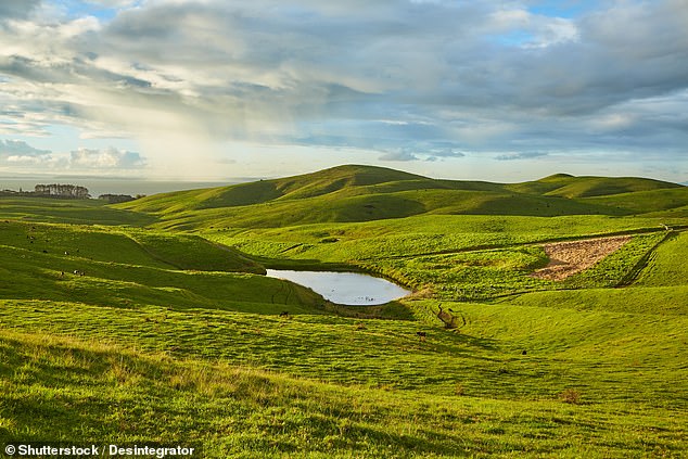 Motutapu Island offers a diverse and scenic landscape, with a blend of rolling farmland, native bush, and historical sites