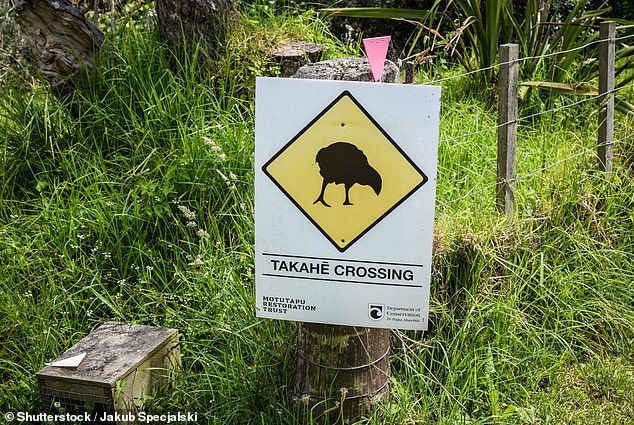 Pictured: Rangitoto and Motutapu Islands in New Zealand
