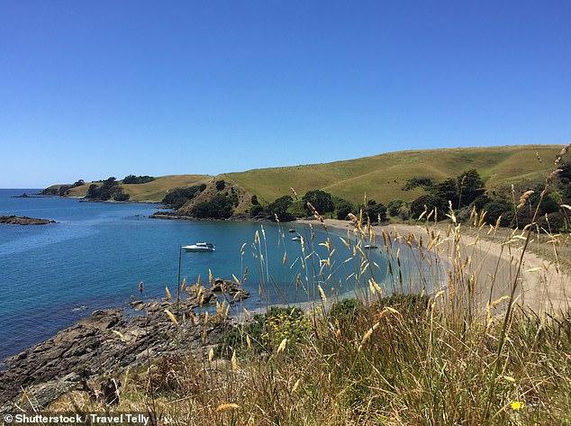 There is no public transport available on the island, and visitors must rely on ferries, private boats, or kayaks for access, with the public ferry service from Auckland to Motutapu limited to just one departure a week
