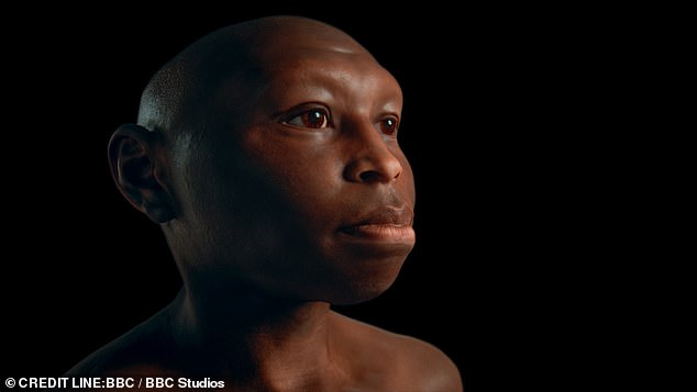 Much of the evidence about human evolution is based on fragments, with scientists building their theories from scattered finds and the odd bone