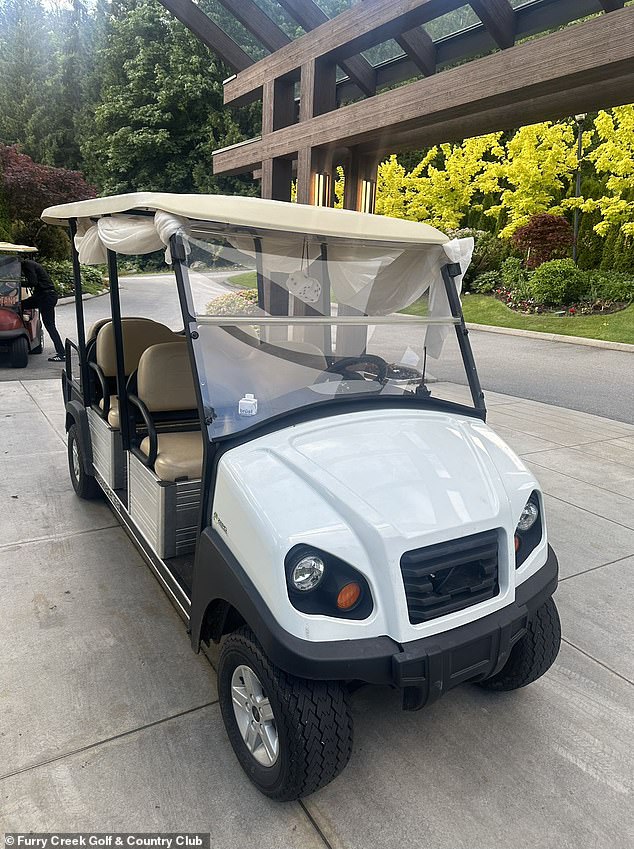 Quigley claimed her dress was caught in a wheel of the golf cart, pulling her to the ground and dragging her (pictured: a Furry Creek golf cart)