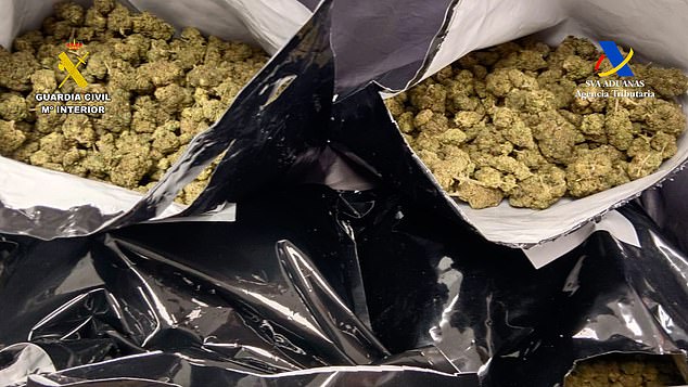 Cops said the luggage had an 'unusually low weight for its size and was giving off a strong smell'