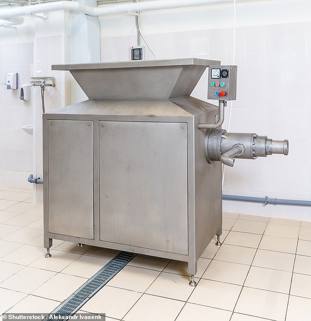 The unnamed teenager was sucked into an industrial meat grinder when it was suddenly activated - picture for illustrative purposes only