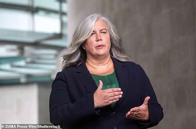 Transport Secretary Heidi Alexander said: 'This EV grant will not only allow people to keep more of their hard-earned money.'
