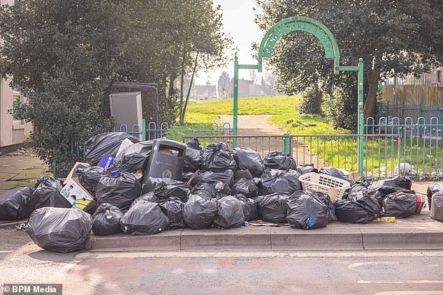 The boss of Birmingham City Council's bins has quit and moved to Australia after just two years in the job amid strike action by refuse workers