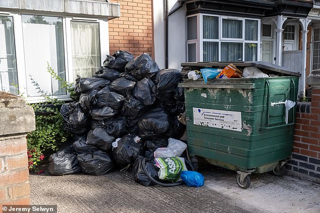 The bin dispute initially centred on the council's decision to remove Waste Recycling and Collection Officer (WRCO) roles