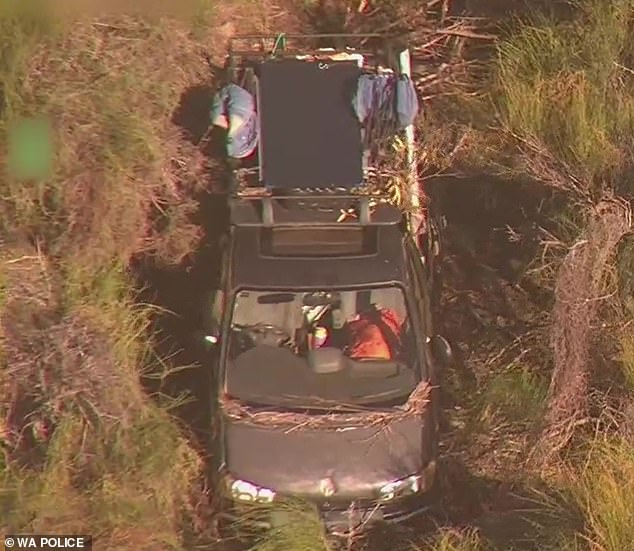 Ms Wilga said she decided to abandon her van (pictured) after injuring her head in an accident and becoming confused