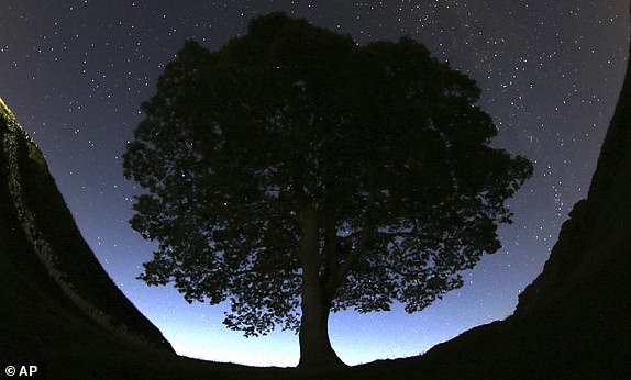 FILE - A general view of the stars above Sycamore Gap prior to the Perseid Meteor Shower above Hadrian's Wall near Bardon Mill, England, Wednesday, Aug. 12, 2015. (AP Photo/Scott Heppell, File)