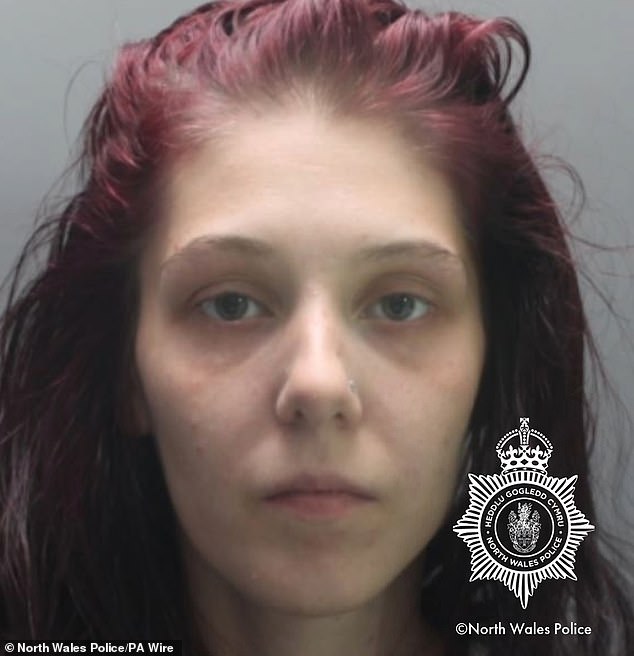 The toddler had been staying at his grandparents' house in Garden City with his mother Shannon Ives (pictured)