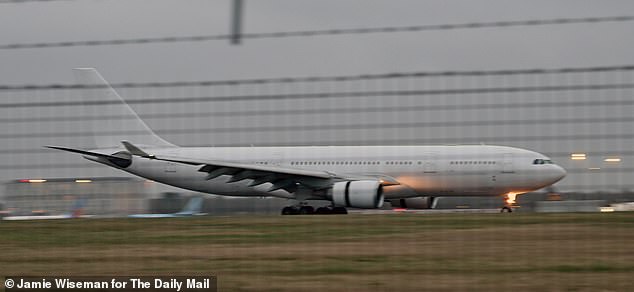 Shaffy was brought to the UK on this plane, which the Mail watched landing at Stansted in February 2024 - but tens of thousands of others are being left behind to their fate