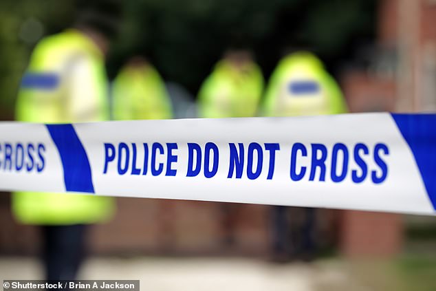 An officer was also taken to hospital following the devastating crash, while the police dogs were examined by a vet